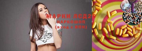 гашик Вязьма