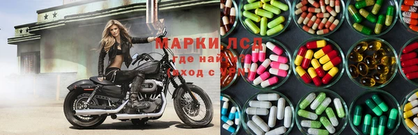 гашик Вязьма