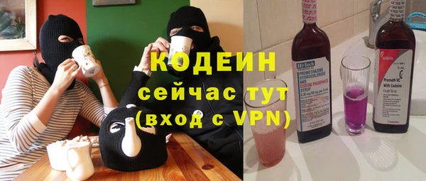 гашик Вязьма