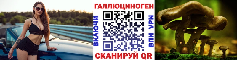Псилоцибиновые грибы ЛСД  Купить где  Курганинск 